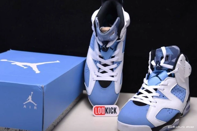 Cheap Air CT8529-410 UNC Jordan 6 0717